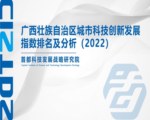 美人鸡巴插淫荡强奸网站【成果发布】广西壮族自治区城市科技创新发展指数排名及分析（2022）